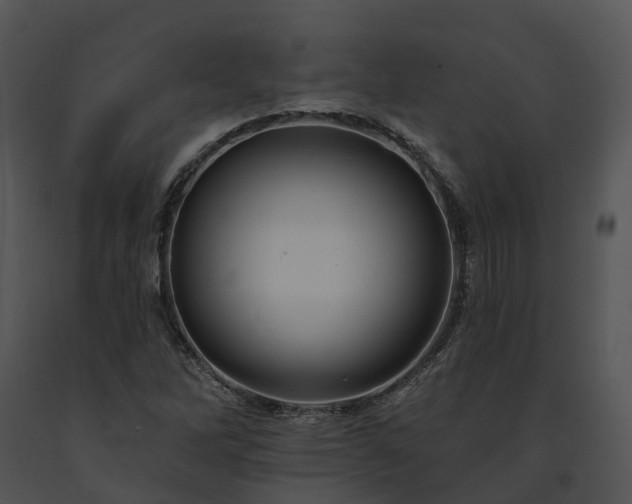 X0000091671262200708301452