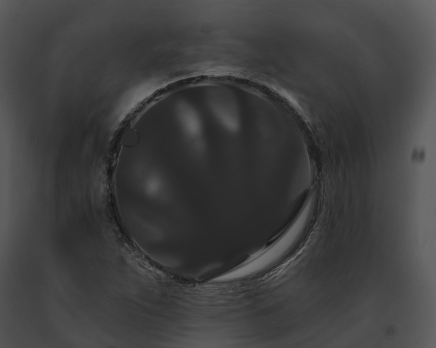 X0000091671263200708301452