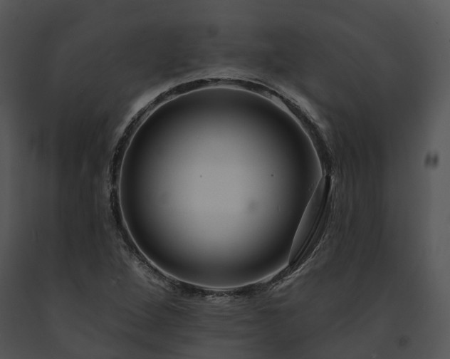 X0000091671264200708301452