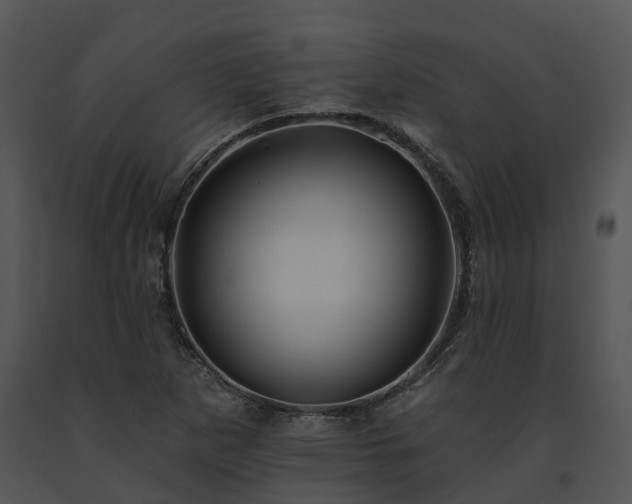 X0000091671265200708301452