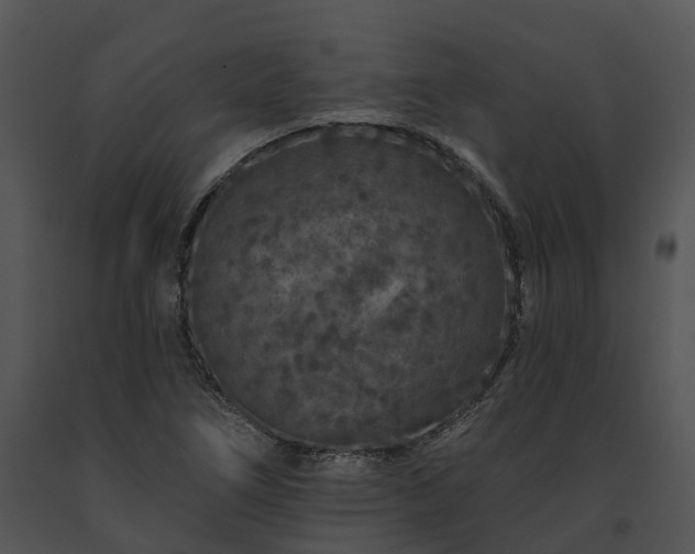 X0000091671266200708301452