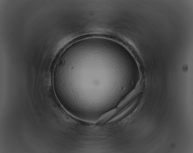 X0000091671267200708301452