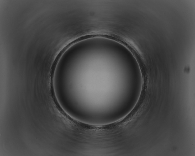 X0000091671268200708301452