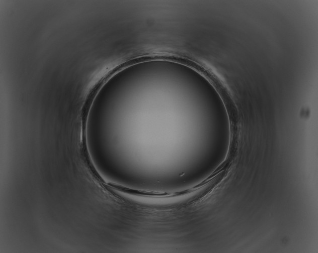 X0000091671269200708301452