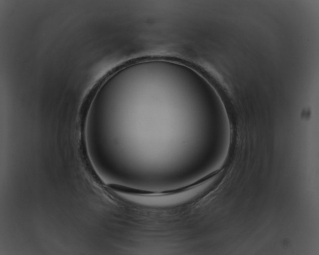 X0000091671270200708301452