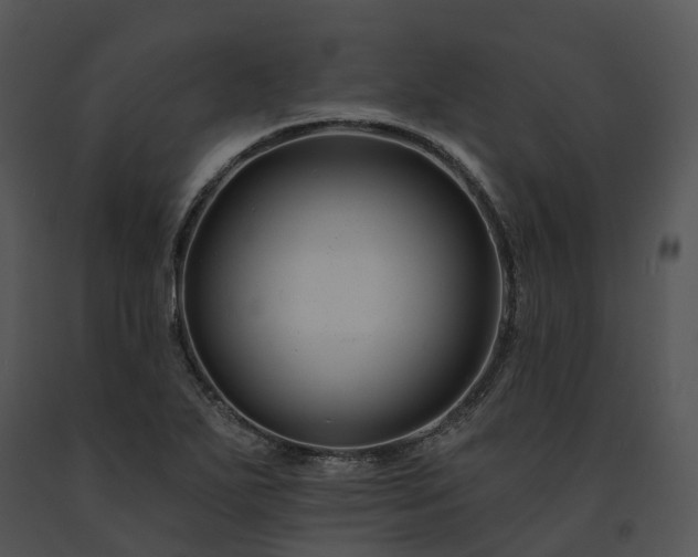 X0000091671271200708301452