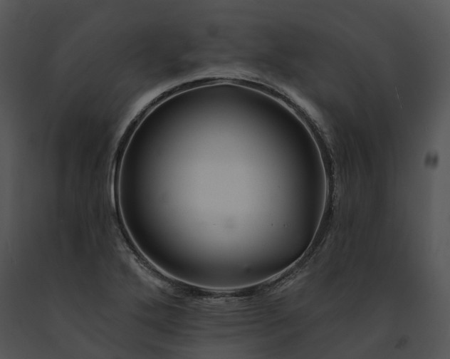 X0000091671272200708301452