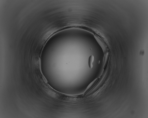 X0000091671273200708301452