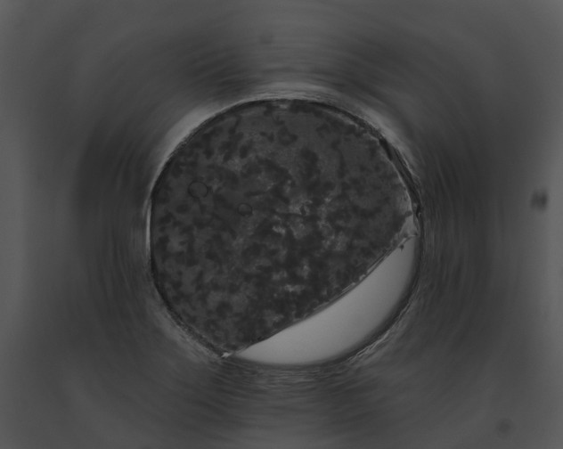 X0000091671275200708301452