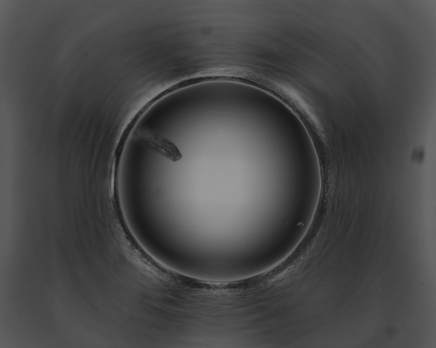 X0000091671276200708301452