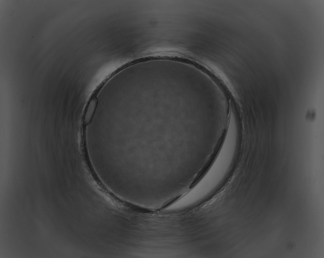 X0000091671277200708301452