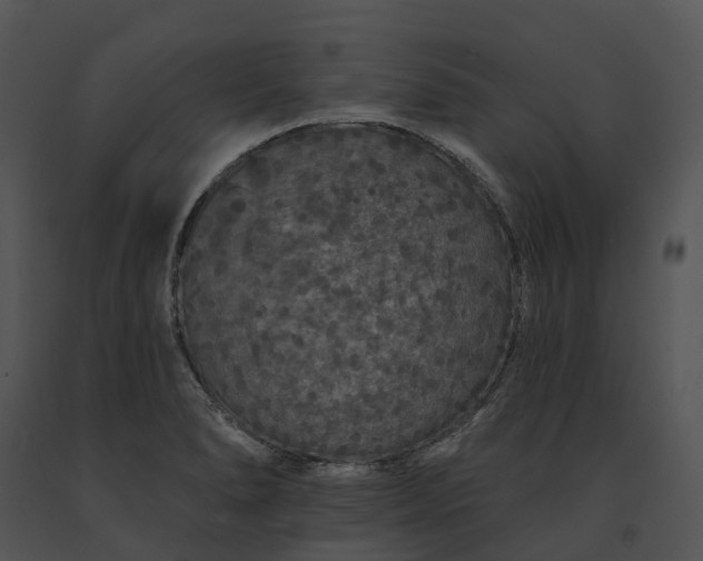 X0000091671278200708301452