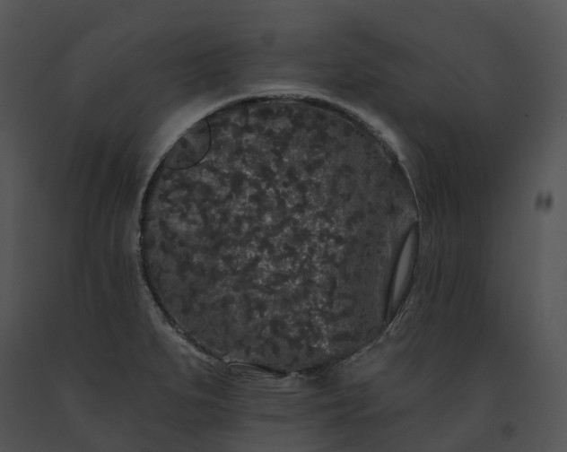 X0000091671279200708301451
