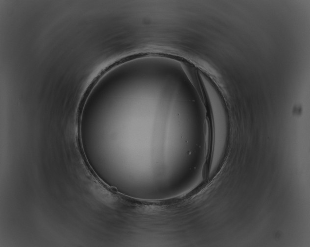 X0000091671280200708301451