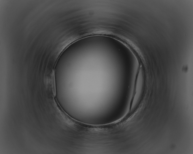 X0000091671281200708301451