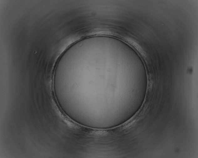 X0000091671282200708301451