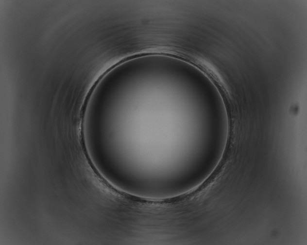 X0000091671284200708301451