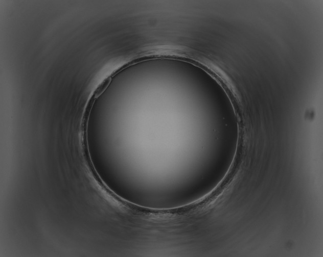 X0000091671285200708301451