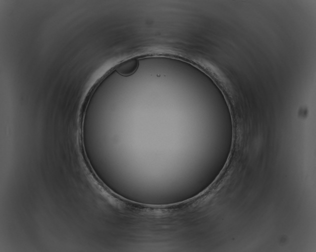 X0000091671286200708301451