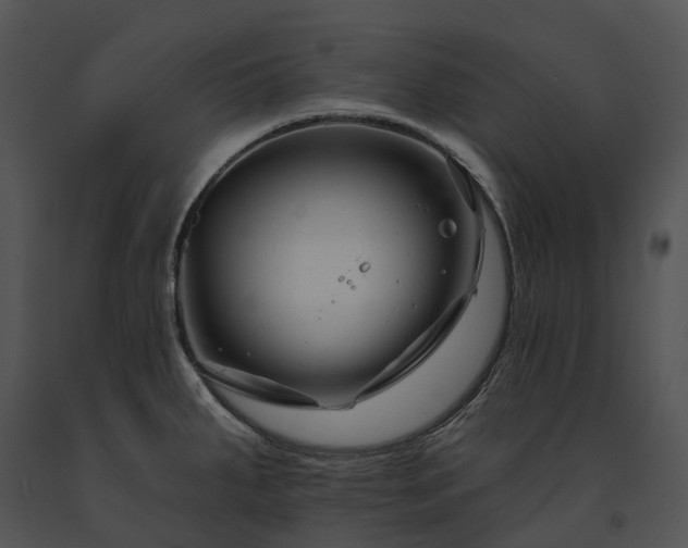 X0000091671287200708301451