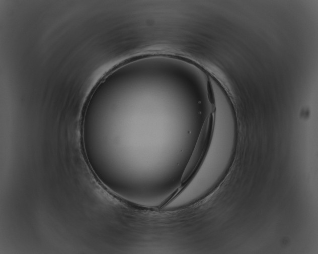X0000091671288200708301451
