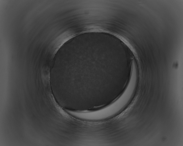 X0000091671289200708301451