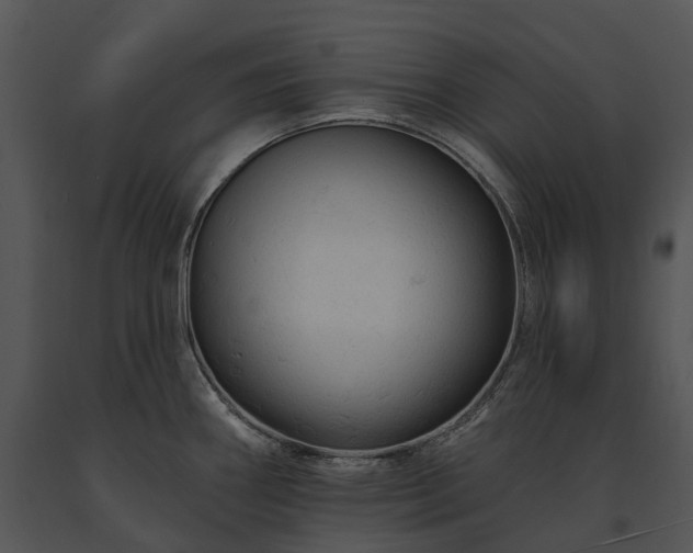 X0000091671290200708301451