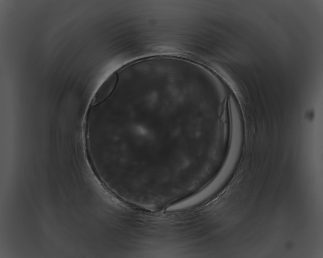 X0000091671291200708301451