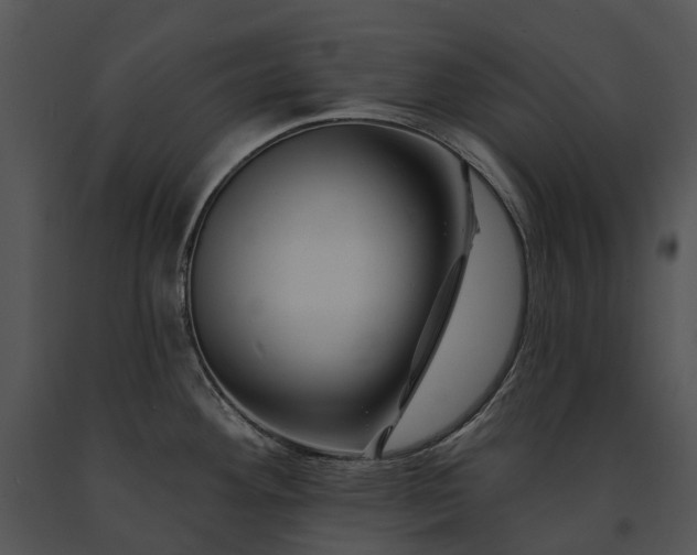 X0000091671292200708301451