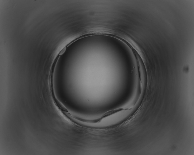 X0000091671293200708301451