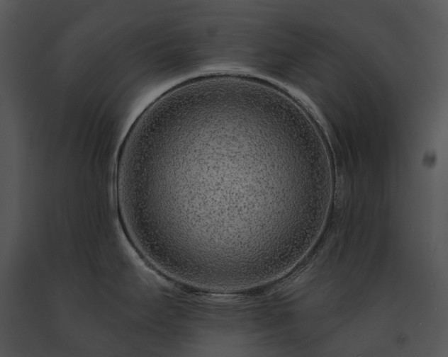 X0000091671295200708301451