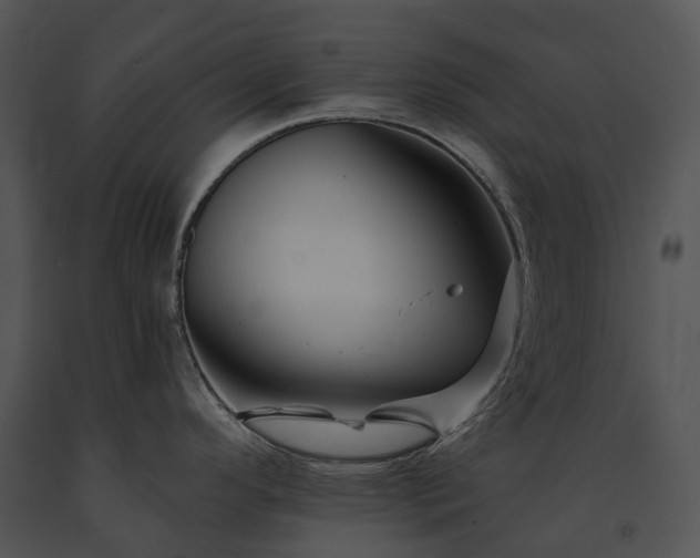 X0000091671296200708301451