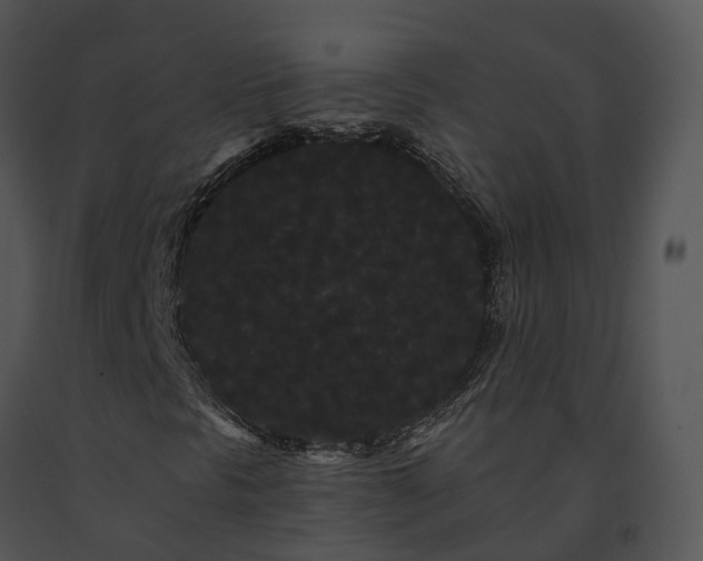 X0000091671297200708301451