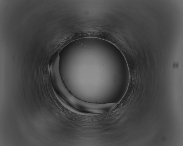 X0000091671298200708301451