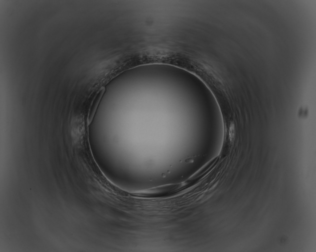 X0000091671299200708301451