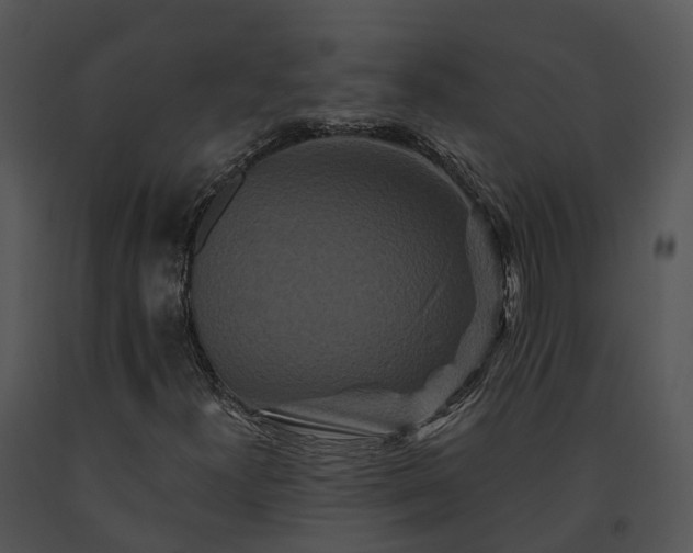 X0000091671300200708301451