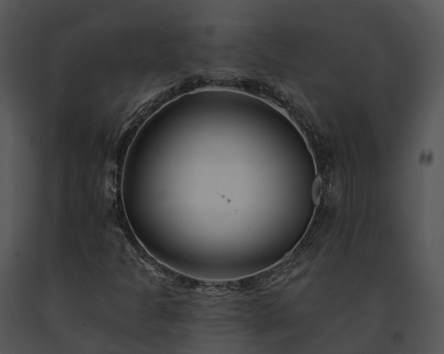 X0000091671301200708301451