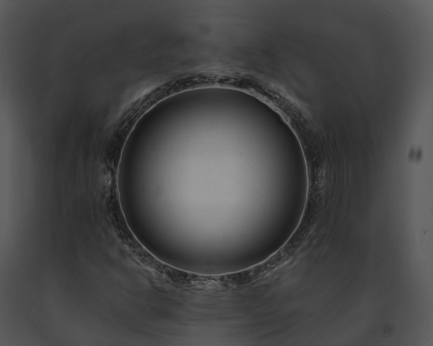 X0000091671302200708301451