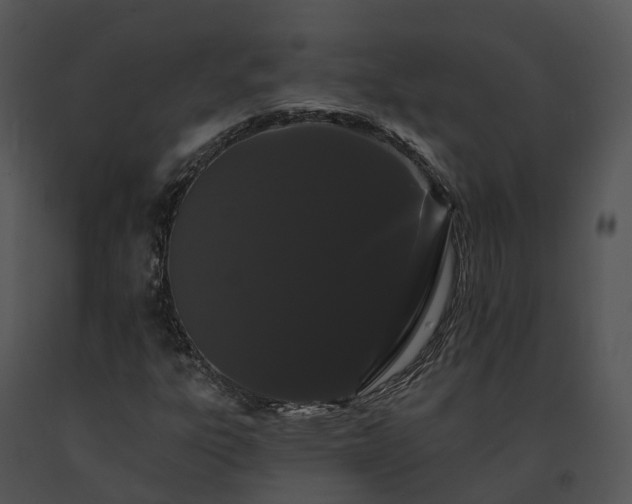 X0000091671303200708301451