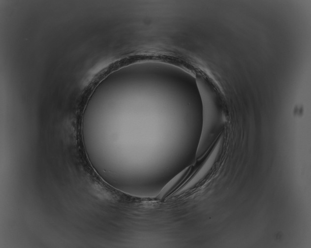 X0000091671304200708301451