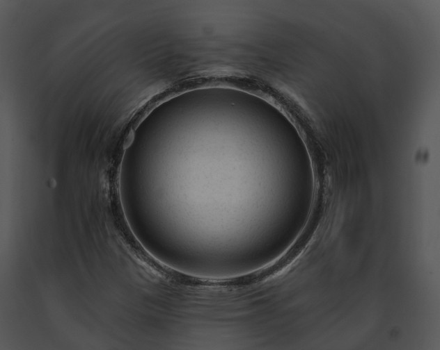 X0000091671305200708301451