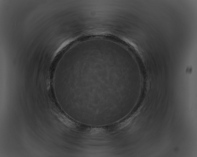 X0000091671306200708301451