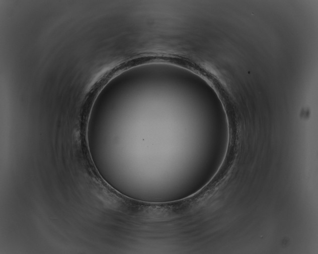 X0000091671307200708301451