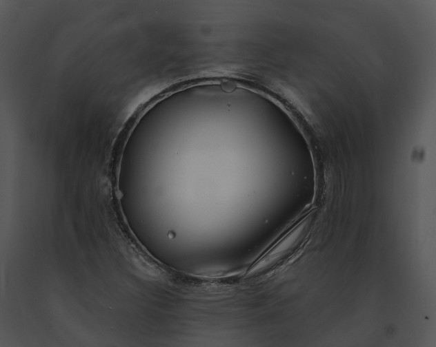 X0000091671308200708301451