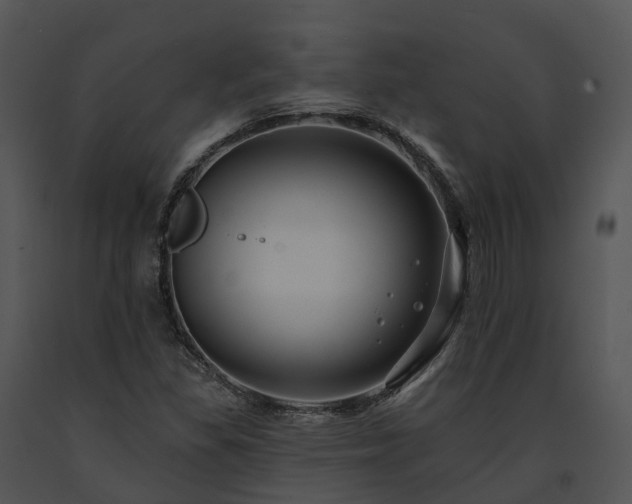 X0000091671309200708301451