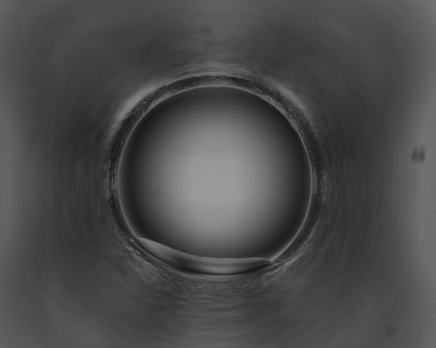 X0000091671310200708301451