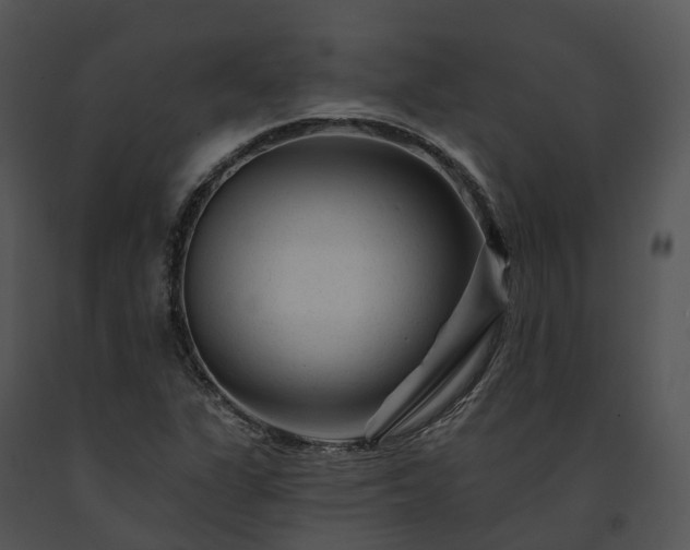 X0000091671311200708301451