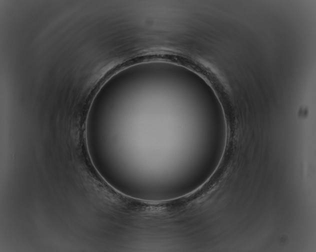 X0000091671313200708301451