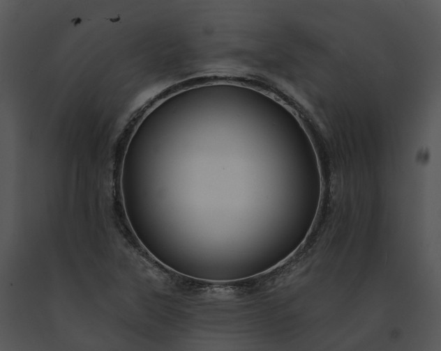 X0000091671315200708301451