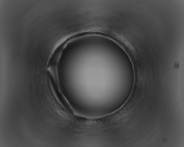 X0000091671316200708301451
